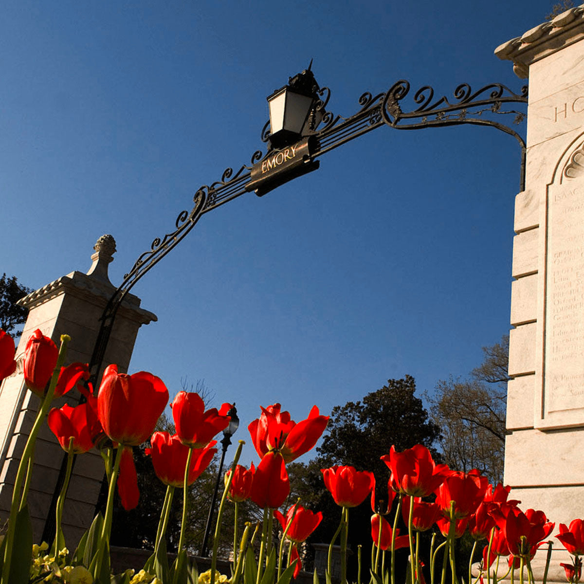 General University Endowment