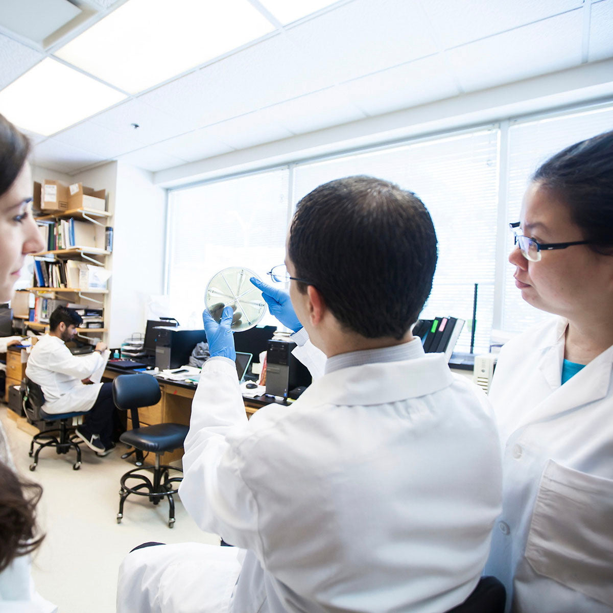 Emory Primate Center Fund for Excellence