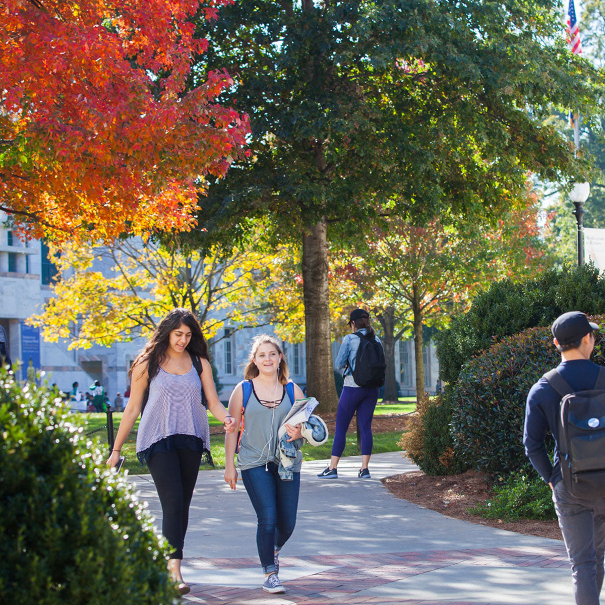 Wonderful Wednesdays