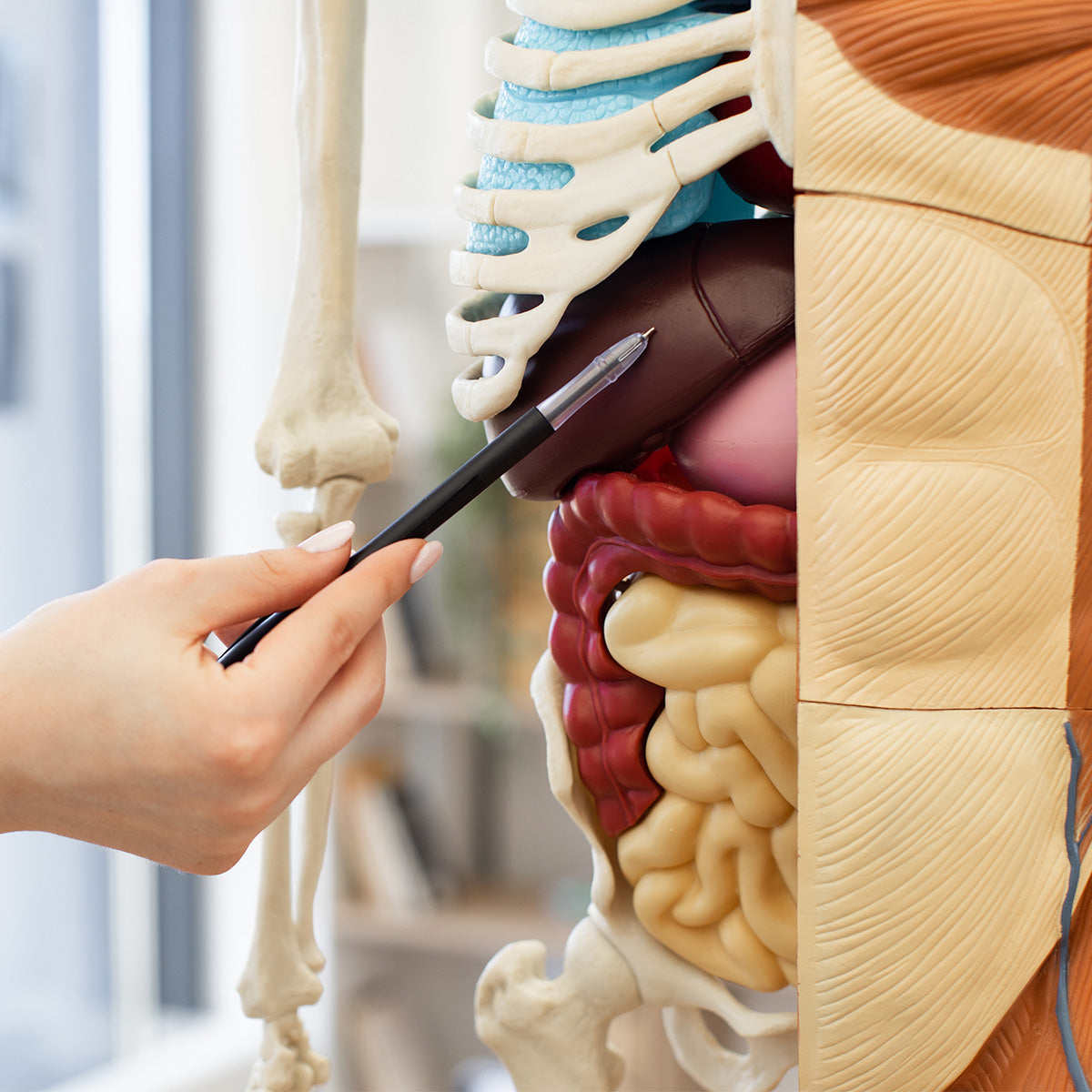 Digestive Diseases Fellowship Fund