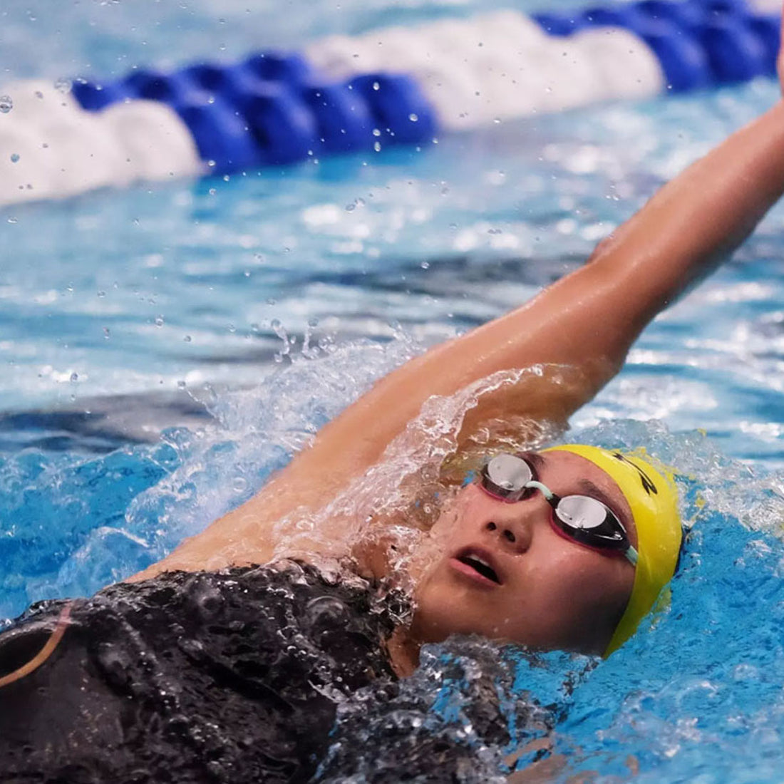 Emory Swimming Diving Endowment