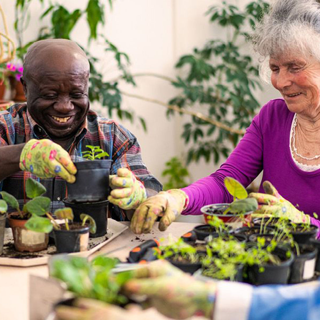 Emory Healthy Aging Study