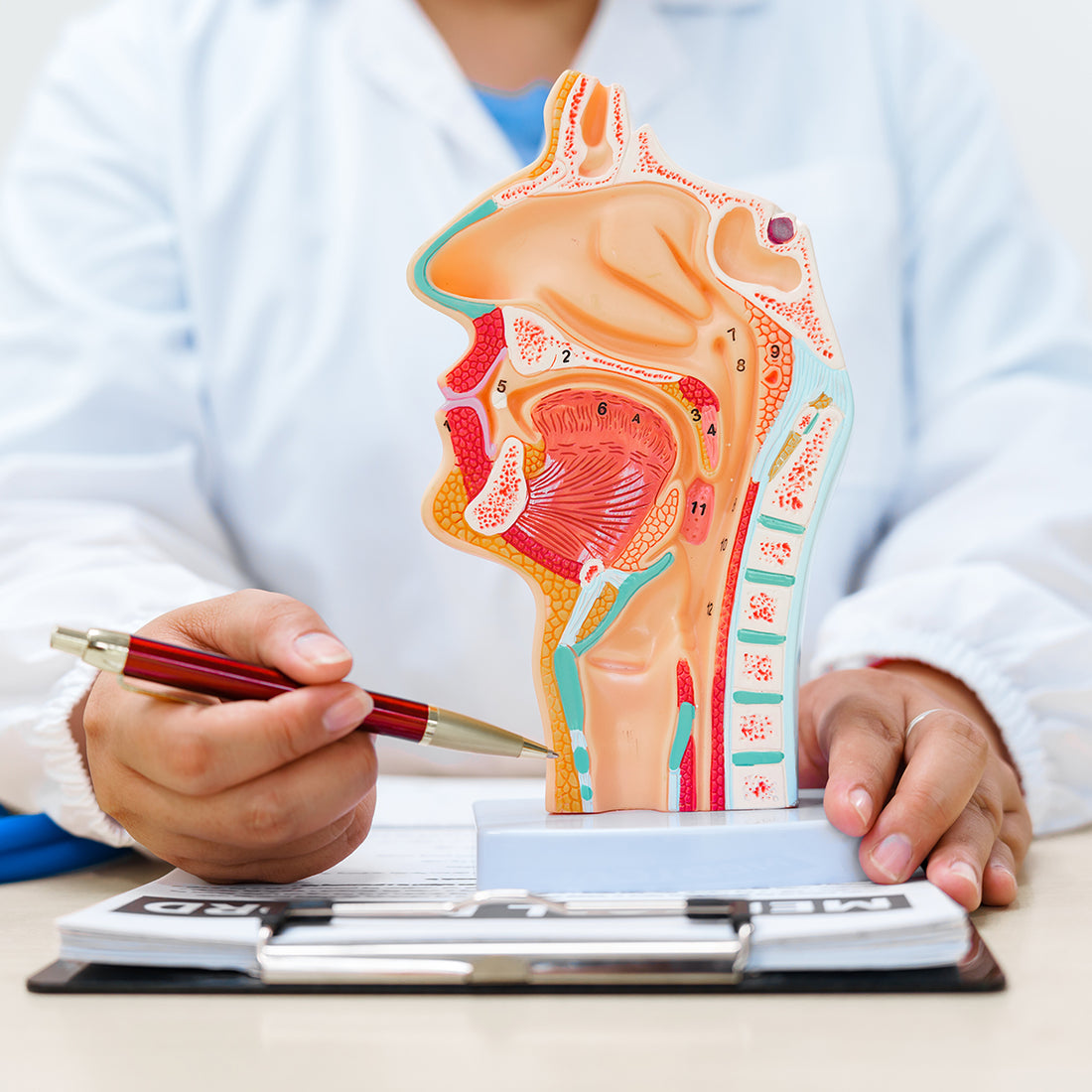 Emory Voice Center Research Support