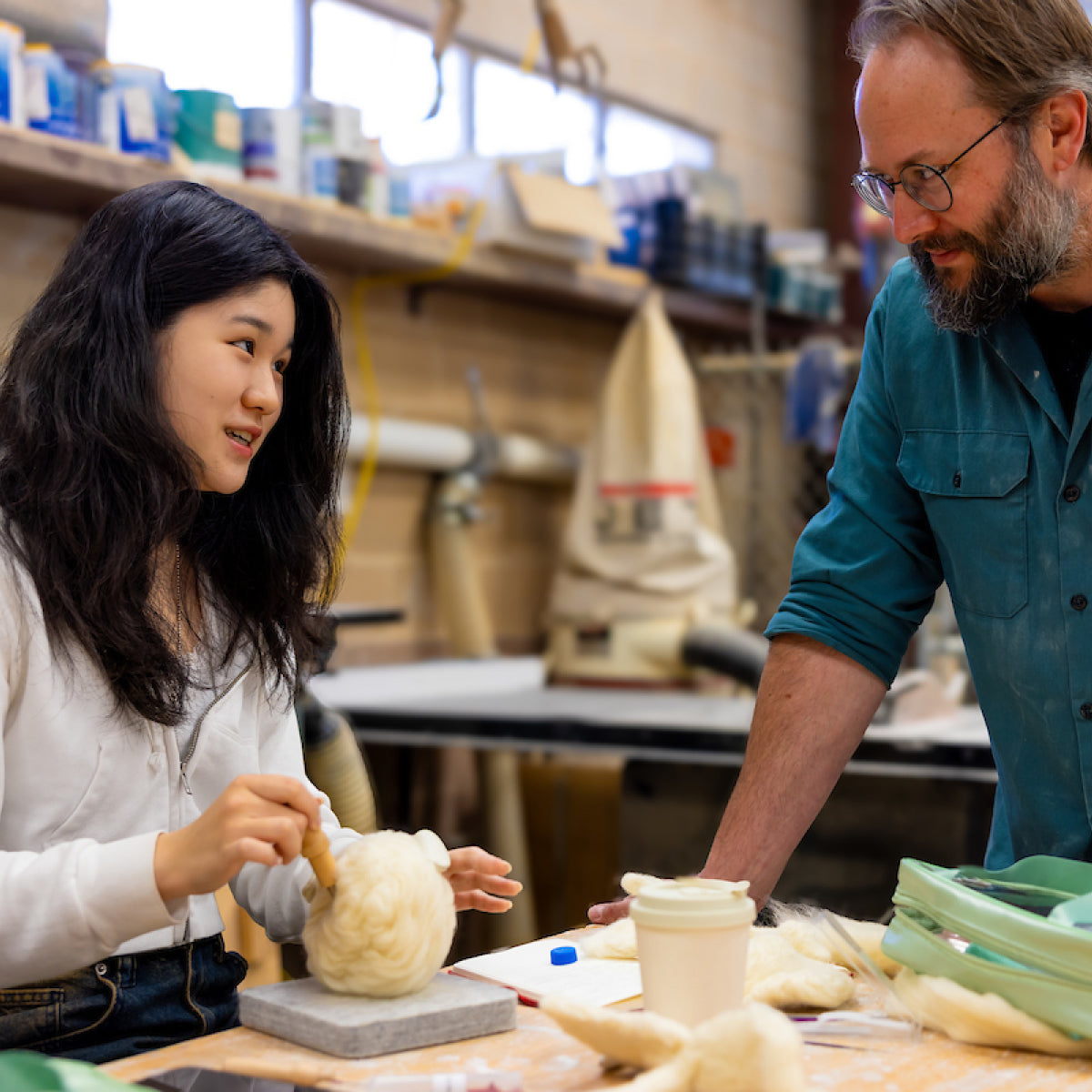 Friends of Visual Arts