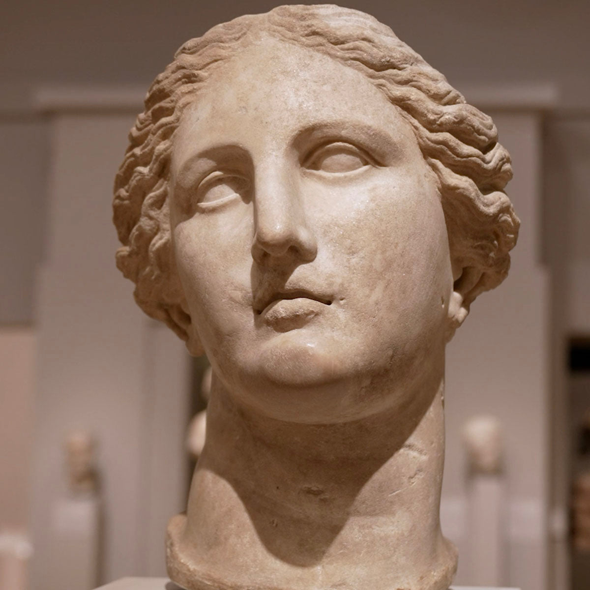 Michael C Carlos Museum Educational Programs Fund