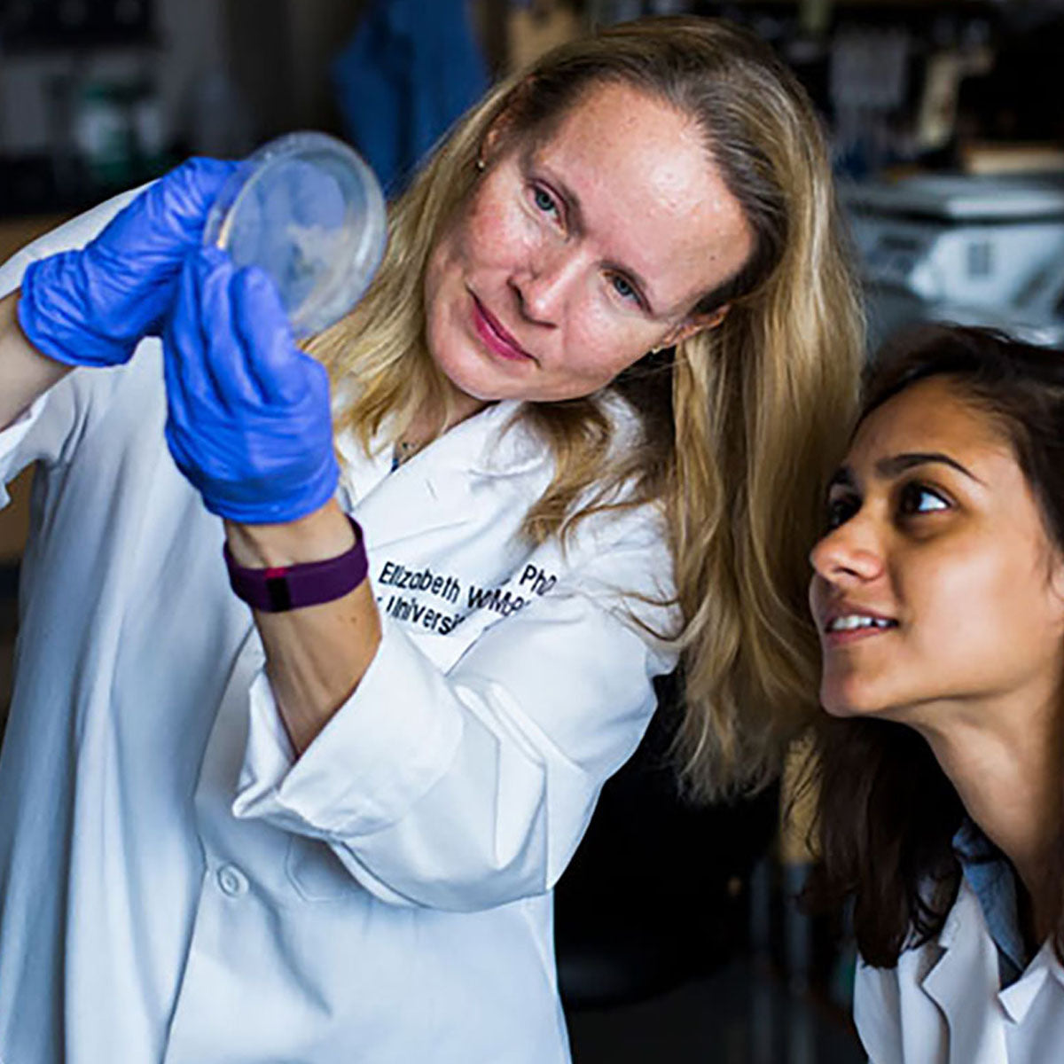 Microbiology and Immunology General Gifts