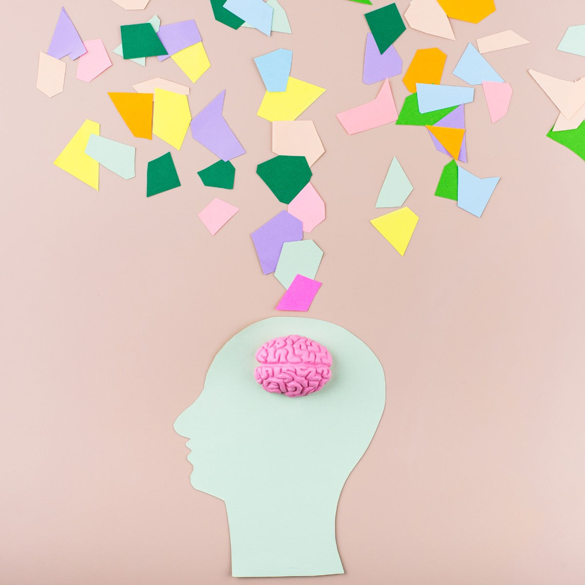 Shaffer Cognitive Empowerment Program