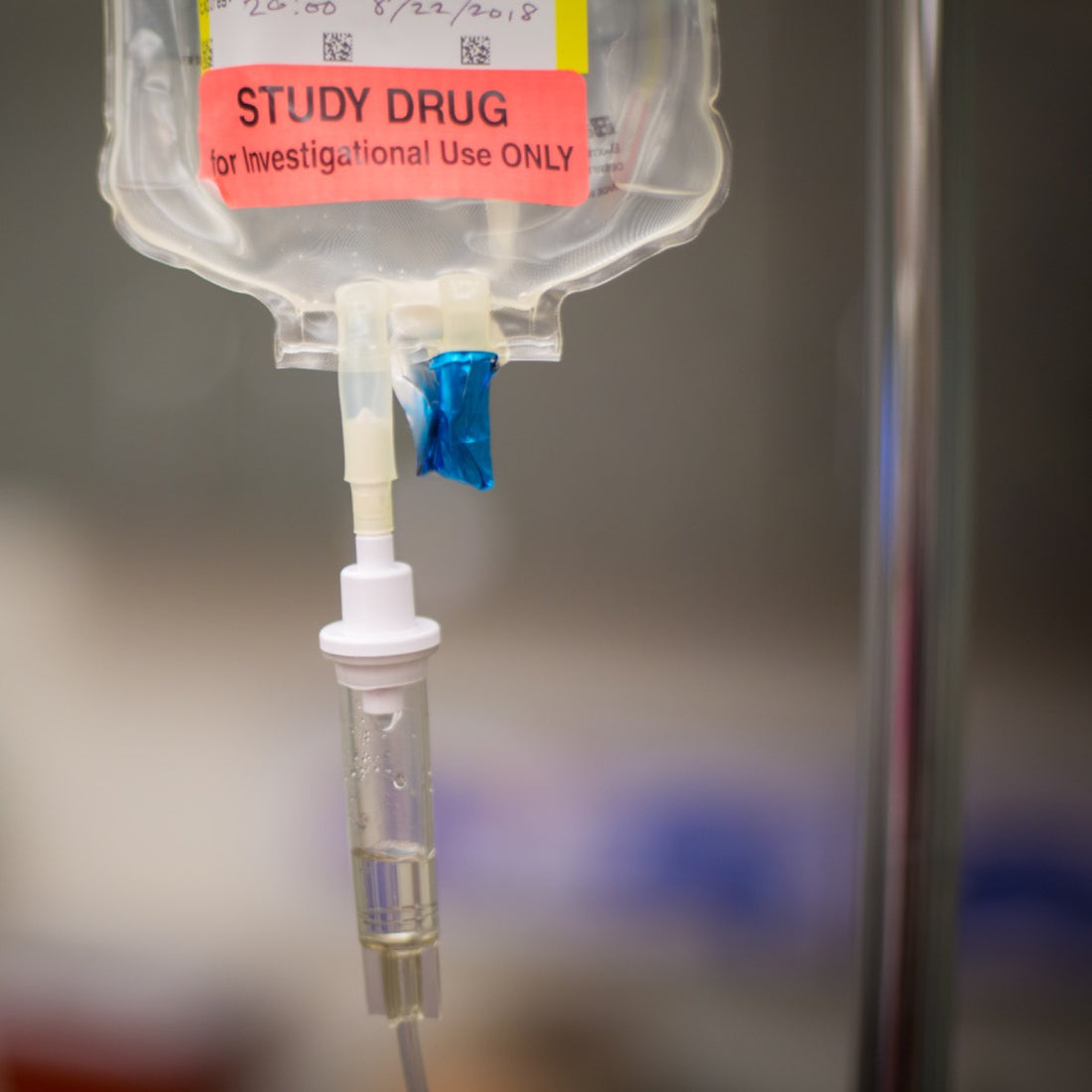 Ted Bracewell Memorial Fund