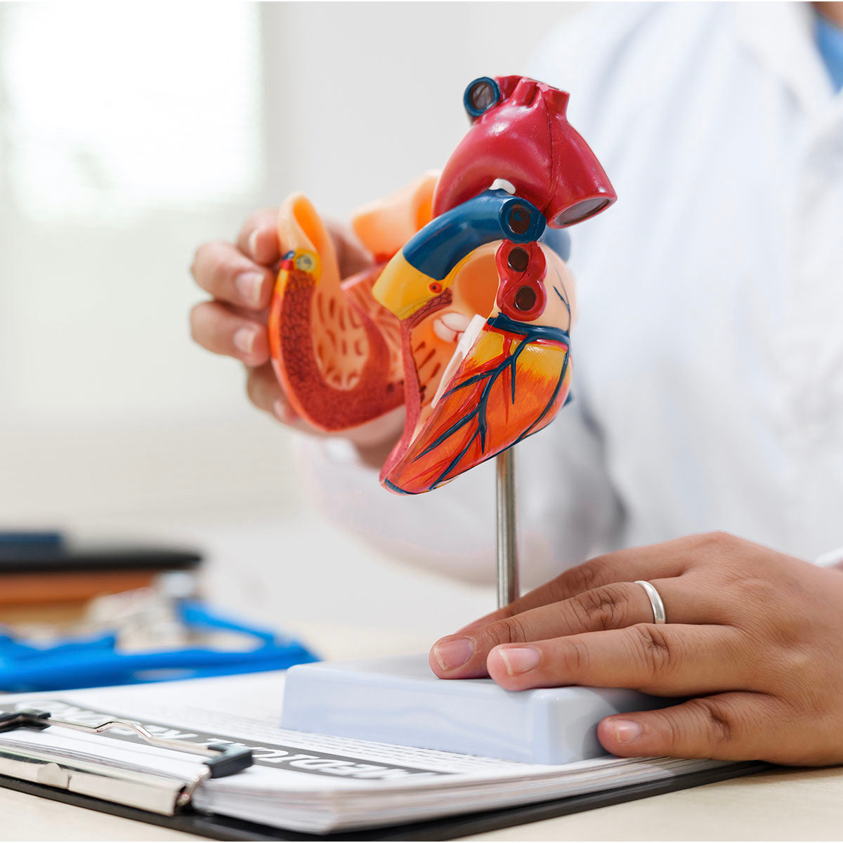 Cardiology Research and Development