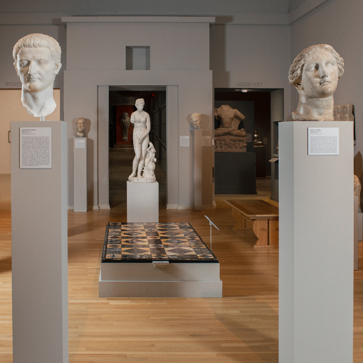 Art History Donations Fund