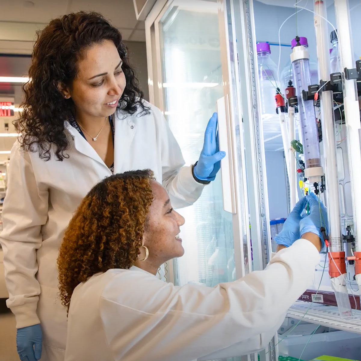 Biomedical Engineering Chair Gift Fund – Emory Giving