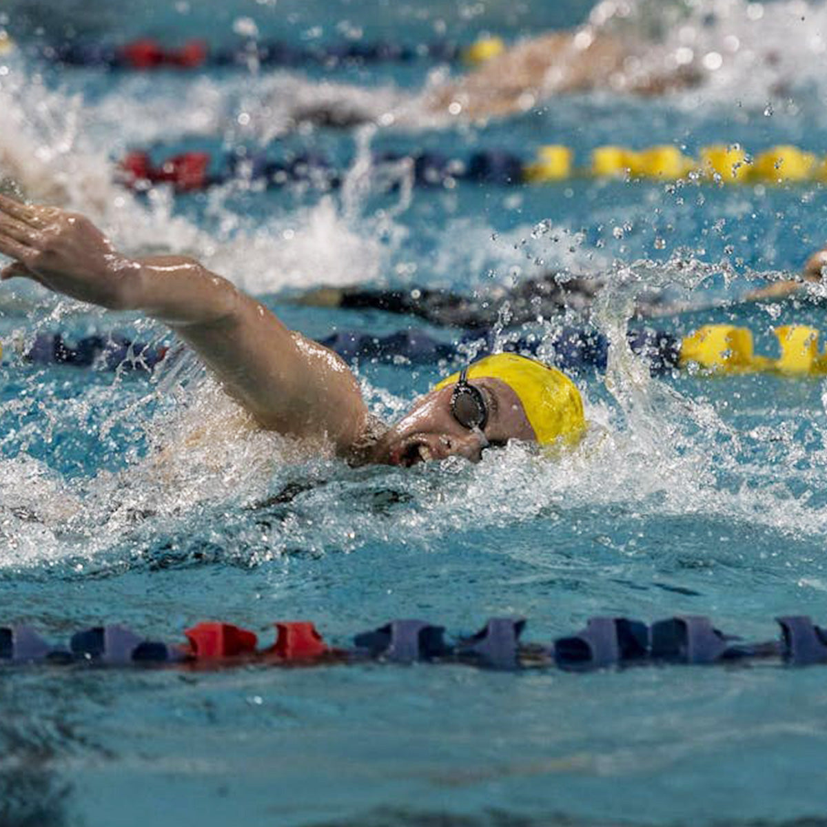 Copses Family Mens Swimming Diving Endowment