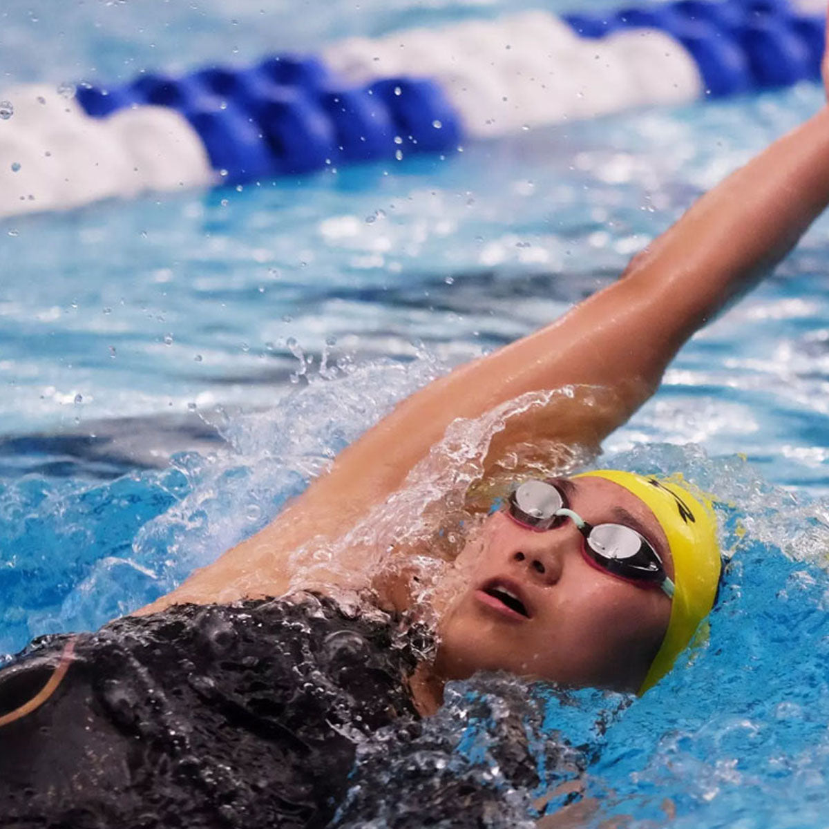 Emory Swimming Diving Endowment