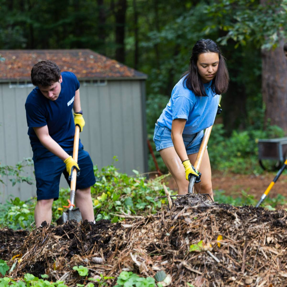 Eugene Bianchi Prize in Religion