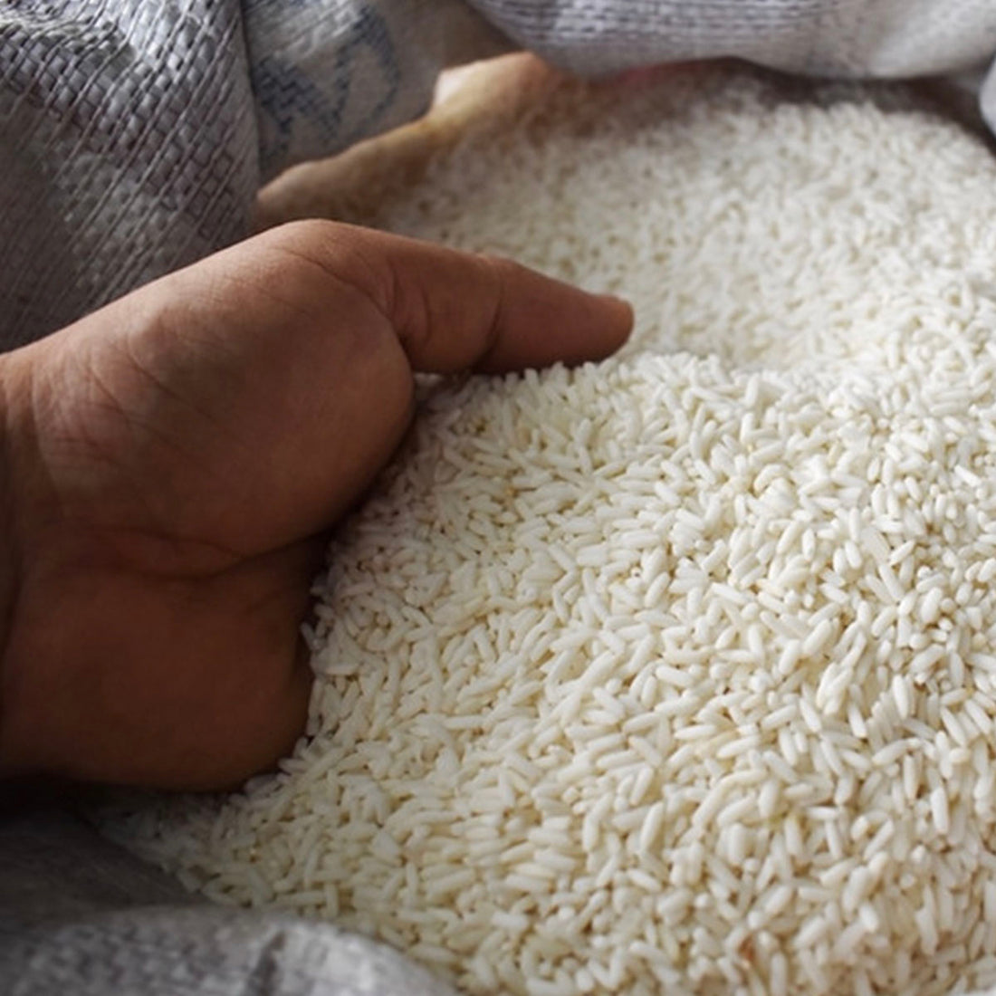 Food Fortification Initiative