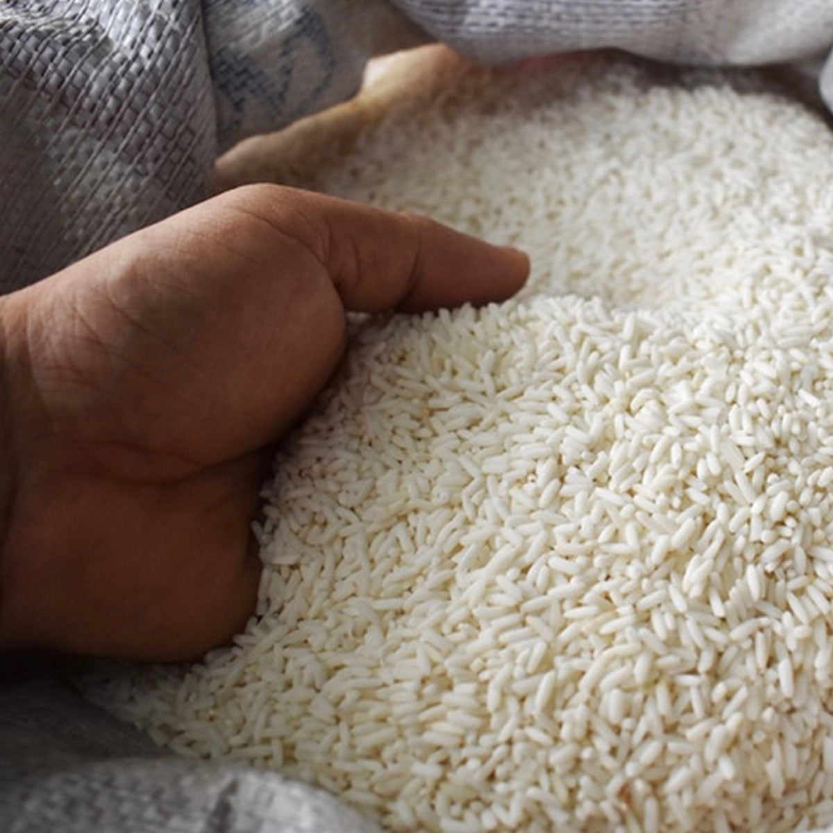 Food Fortification Initiative