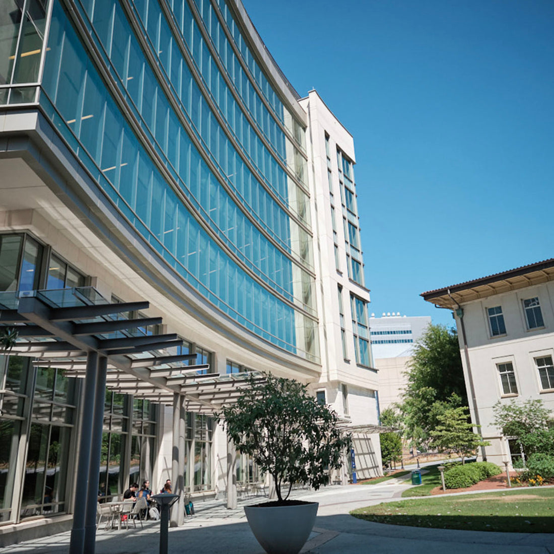 GEMMA Global Elimination of Maternal Mortality From Abortion Faculty Scholar Endowment