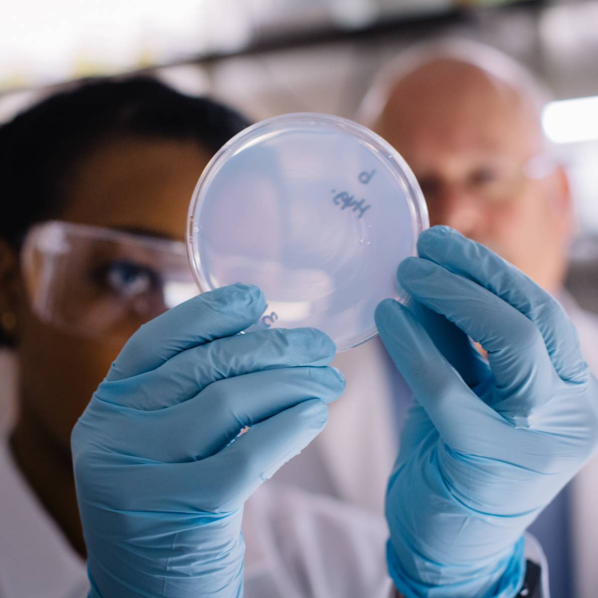 Infectious Diseases Jonas A Shulman Endowment Fund