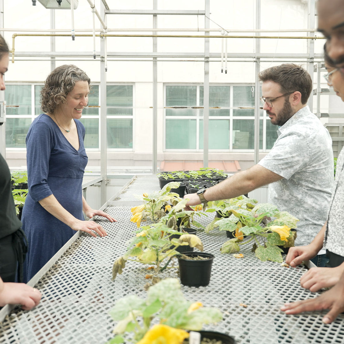 Laney Graduate School Fund for Excellence