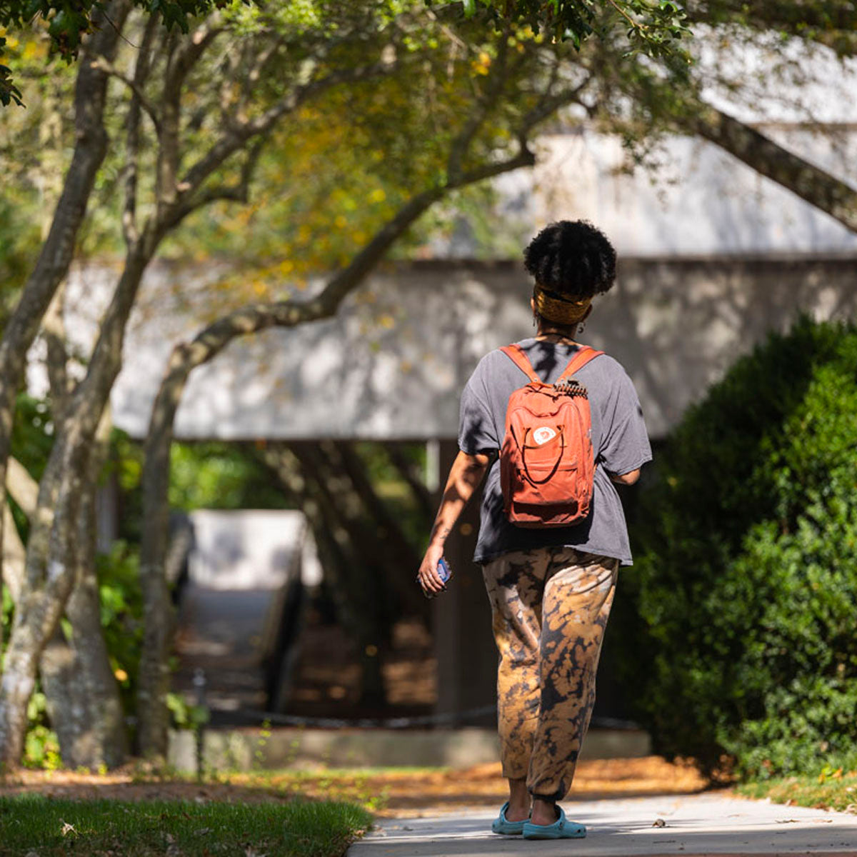 MSBA Student Hardship Operations