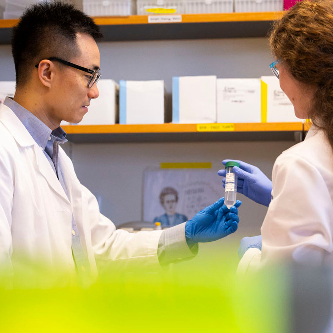 Pathology and Laboratory Medicine Teaching and Education Fund