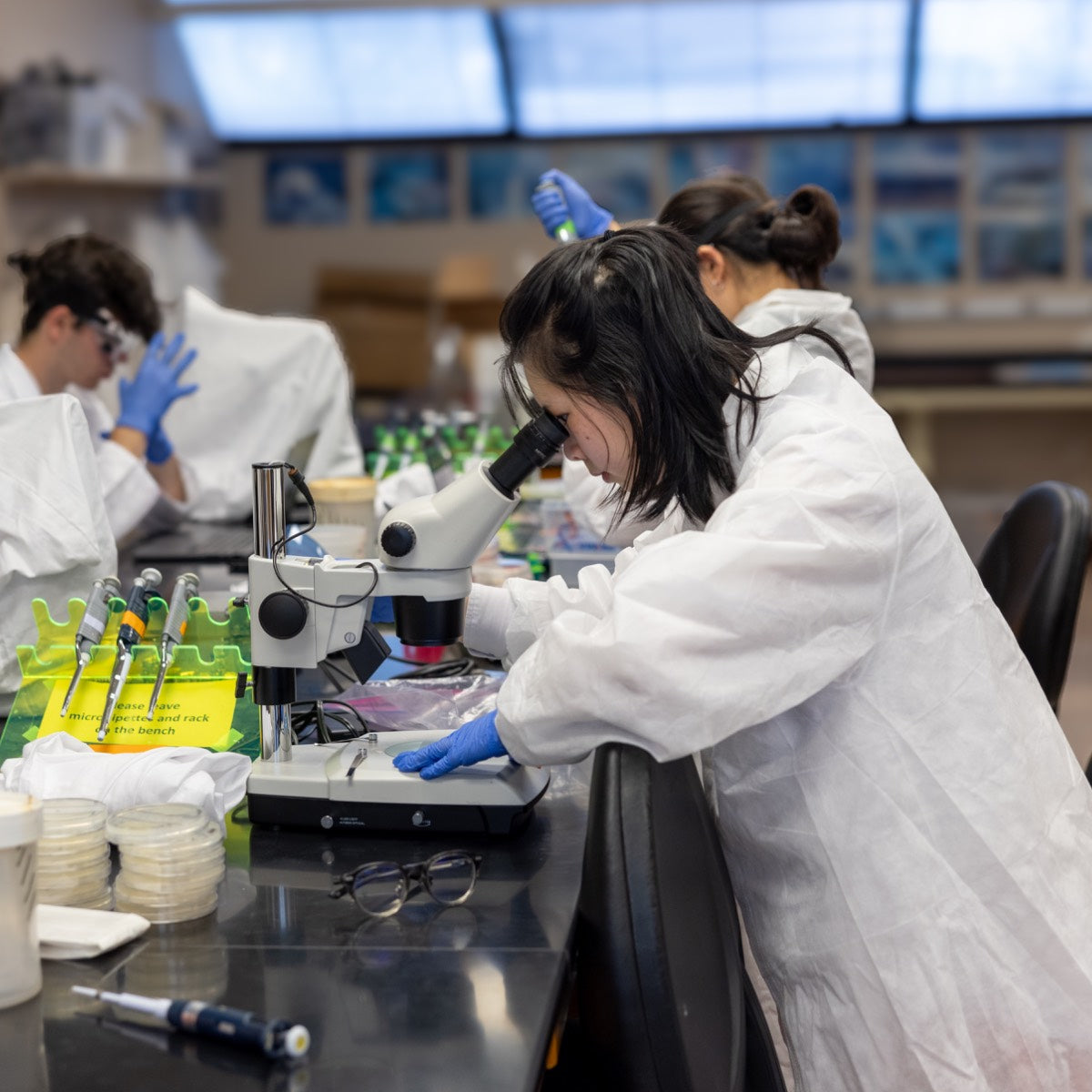 Professor Elizabeth Lonsdorf Research Account