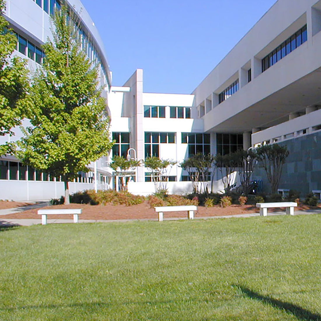 Student Organizations Income Law